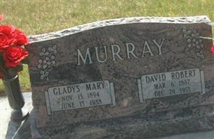 David Robert Murray David Robert Murray