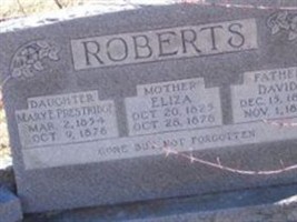 David Roberts David Roberts