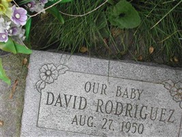David Rodriguez David Rodriguez
