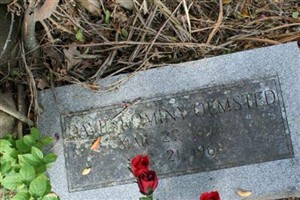 David Rominy Olmsted David Rominy Olmsted