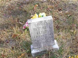 David Ronald Elam David Ronald Elam