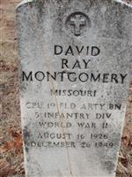 David Roy Montgomery