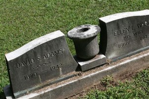 David S. Adams
