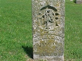 David S. Collins David S. Collins