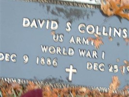 David S Collins David S Collins