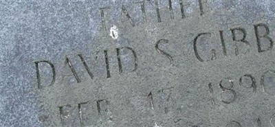 David S. Gibbs David S. Gibbs