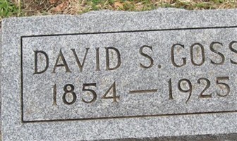 David S Goss
