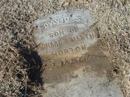 David S. Horton David S. Horton