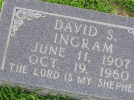 David S. Ingram David S. Ingram