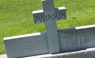 David S Johnson