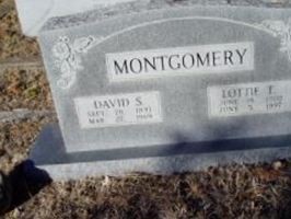 David S. Montgomery David S. Montgomery