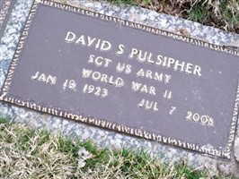David S Pulsipher David S Pulsipher