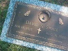 David S. Small David S. Small