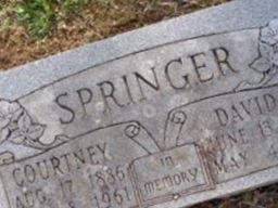 David S. Springer David S. Springer