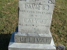 David S Sullivan David S Sullivan