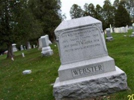 David S Webster David S Webster