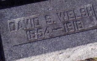 David S. Welsh David S. Welsh