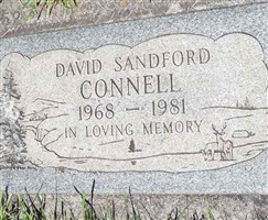 David Sandford Connell David Sandford Connell