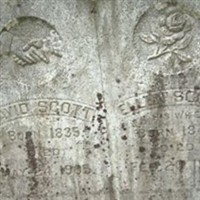 David Scott