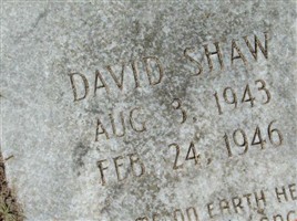 David Shaw David Shaw