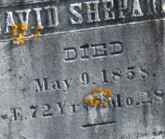 David Shepard