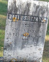 David Shepard