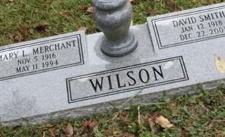 David Smith Wilson David Smith Wilson