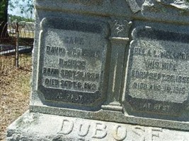 David St. Pierre DuBose, Jr David St. Pierre DuBose, Jr