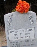 David Stevenson David Stevenson