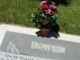David Stuart Bowen