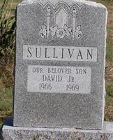 David Sullivan, Jr