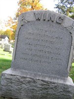 David Swift Wing David Swift Wing