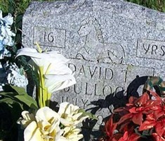David T Bullock David T Bullock
