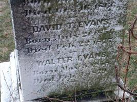 David T. Evans