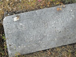 David T. Johnson, Jr