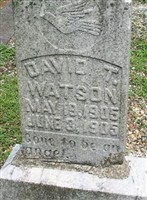 David T. Watson David T. Watson