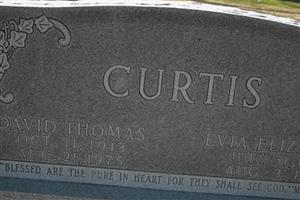 David Thomas Curtis