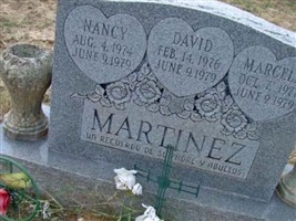 David V Martinez
