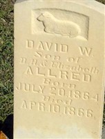 David W Allred David W Allred