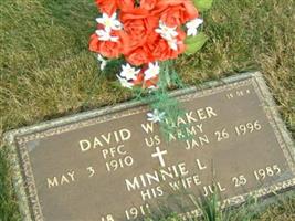 David W Baker