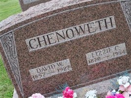 David W Chenoweth David W Chenoweth