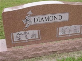 David W. Diamond David W. Diamond