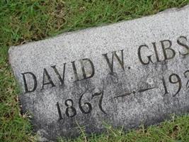 David W. Gibson