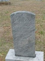 David W. Jarrett