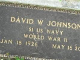 David W Johnson