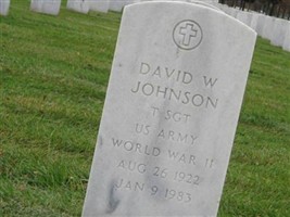 David W Johnson
