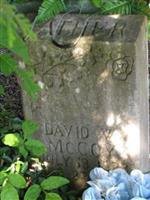 David W. McCoy