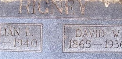 David W Rigney