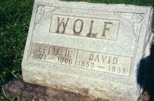 David W. Wolf