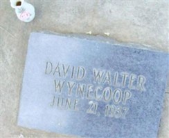 David Walter Wynecoop David Walter Wynecoop